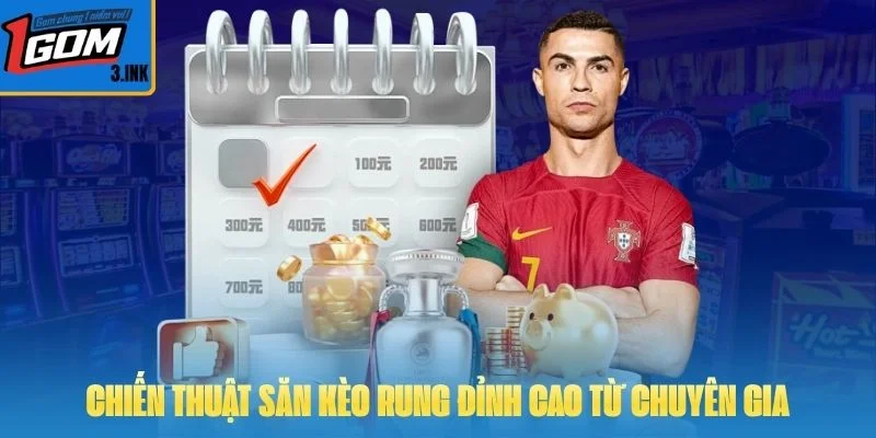 Chiến thuật săn kèo rung đỉnh cao từ chuyên gia